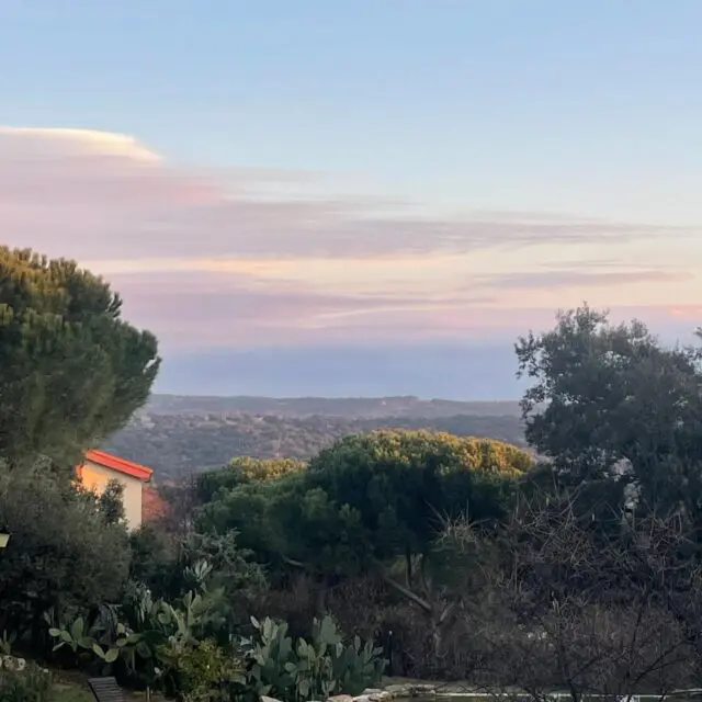 Así cerramos el año con @veluvana_meditacion ✨En silencio, dejando que el cuerpo descansara y que la mente se fuera aclarando poco a poco.Fueron cuatro días para soltar, respirar y reconectar a través de la meditación y el yoga restaurativo. Prácticas suaves que nos recordaron lo importante que es parar de verdad.Gracias a todas las personas que formaron parte de este retiro y a la energía tan bonita que se creó.Porque cuando el cuerpo descansa, la mente despierta.