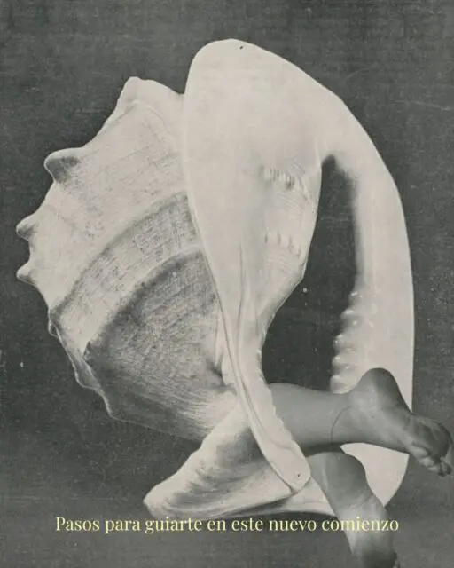 Empezar el año con intención no es llenar la agenda de objetivos, sino elegir la energía con la que quieres vivir cada día. Es pasar del piloto automático a una escucha real de lo que necesitas.✨ La intención vive en las decisiones pequeñas y conscientes del día a día.Guarda este post para volver a él cuando necesites recordar tu centro.#intention #reflection #newyear #presence