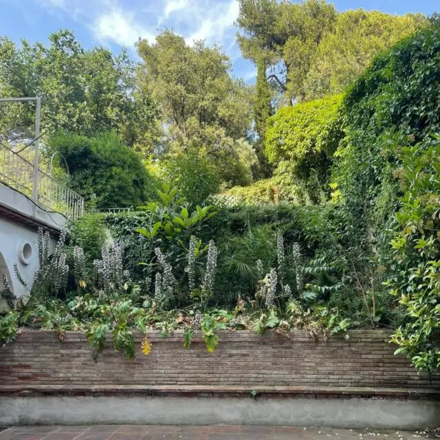 Entre el movimiento y la quietud siempre existe un espacio para la pausa.Un espacio donde dejamos de hacer para empezar a sentir, sin prisa y sin expectativas.Es ahí donde el cuerpo baja el ritmo, la mente se ordena y la respiración encuentra su lugar natural. Donde todo lo que parecía disperso empieza, poco a poco, a encajar.En ese punto intermedio volvemos a nosotras mismas, recordando que no hace falta ir más rápido para llegar más lejos.Solo hace falta parar.Una pausa, que no es huida, sino regreso.#pause #stillness #presence #practice