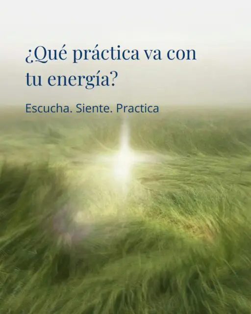 ¿Qué dice tu cuerpo hoy? ✨No todos los días despertamos con la misma batería, y forzar una práctica que no resuena contigo es el camino rápido al agotamiento. En Sangha, creemos que la práctica se adapta a ti, no al revés.Desliza para descubrir tu clase ideal según tu energía#yoga #yogapractice #practice #yogastudio