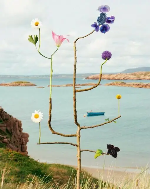 Entre el deseo y el fruto existe un espacio invisible: la práctica.En esta primavera, recuerda que hay crecimientos que ocurren en el silencio. No todo lo que crece necesita ser visto todavía. Como enseña el Bhagavad Gita, actúa por la belleza del acto mismo, soltando el ansia de la cosecha.La semilla no mide el tiempo; simplemente confía y se entrega.No se pregunta cuándo florecerá.Solo se entrega a la tierra.¿Qué semilla vas a plantar este año?