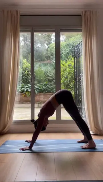 ¿Cómo entrar en Adho Mukha Svanasana correctamente?Te lo explicamos pasa a paso 🌀