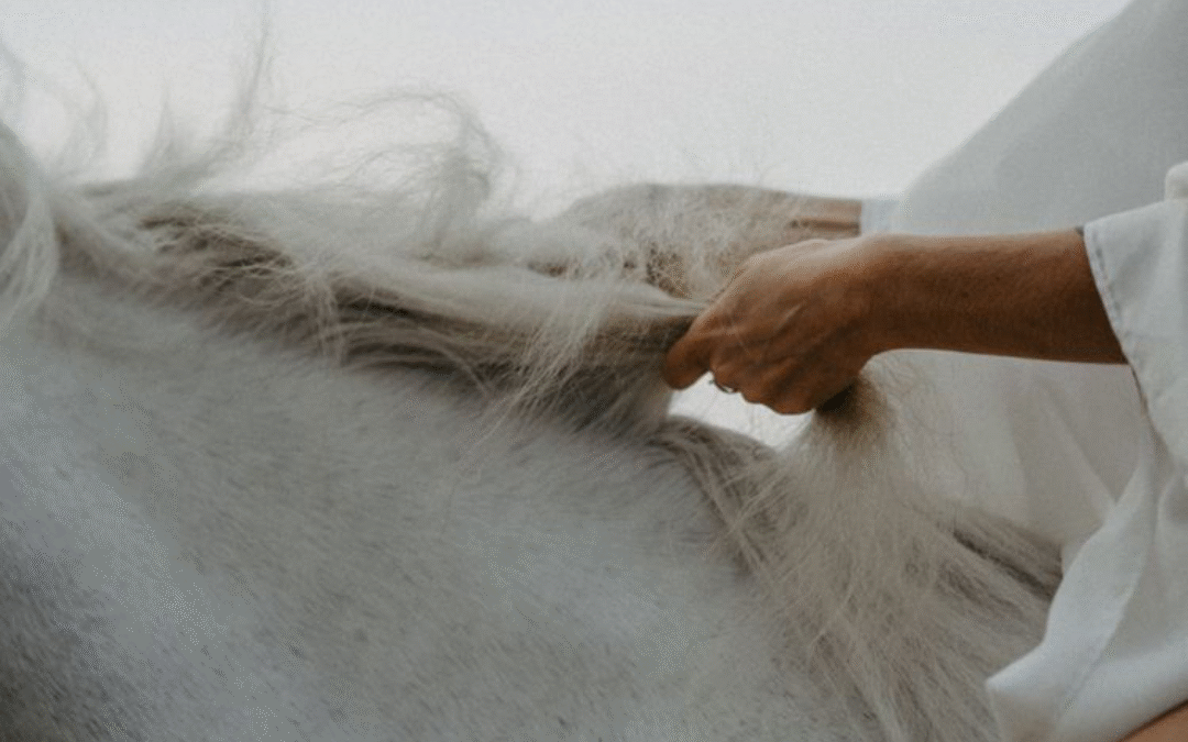 La fuerza de no separarnos