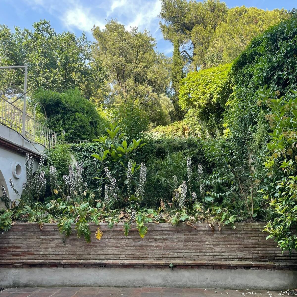 Entre el movimiento y la quietud siempre existe un espacio para la pausa.Un espacio donde dejamos de hacer para empezar a sentir, sin prisa y sin expectativas.Es ahí donde el cuerpo baja el ritmo, la mente se ordena y la respiración encuentra su lugar natural. Donde todo lo que parecía disperso empieza, poco a poco, a encajar.En ese punto intermedio volvemos a nosotras mismas, recordando que no hace falta ir más rápido para llegar más lejos.Solo hace falta parar.Una pausa, que no es huida, sino regreso.#pause #stillness #presence #practice