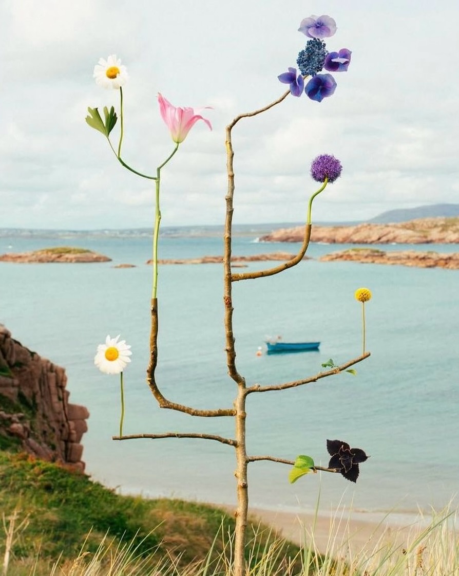 Entre el deseo y el fruto existe un espacio invisible: la práctica.En esta primavera, recuerda que hay crecimientos que ocurren en el silencio. No todo lo que crece necesita ser visto todavía. Como enseña el Bhagavad Gita, actúa por la belleza del acto mismo, soltando el ansia de la cosecha.La semilla no mide el tiempo; simplemente confía y se entrega.No se pregunta cuándo florecerá.Solo se entrega a la tierra.¿Qué semilla vas a plantar este año?