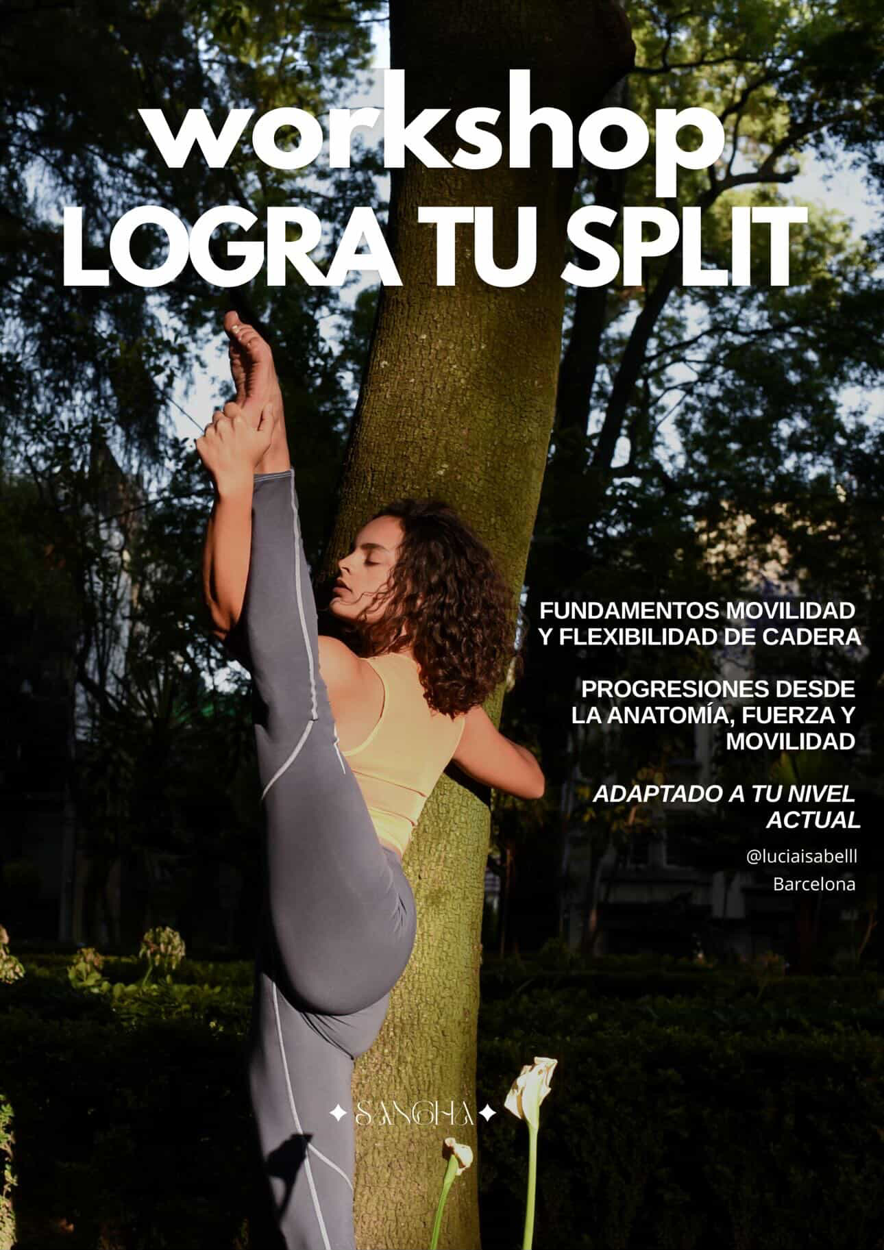 E9581CD6 2703 4307 8DAB 5865E21AB84C